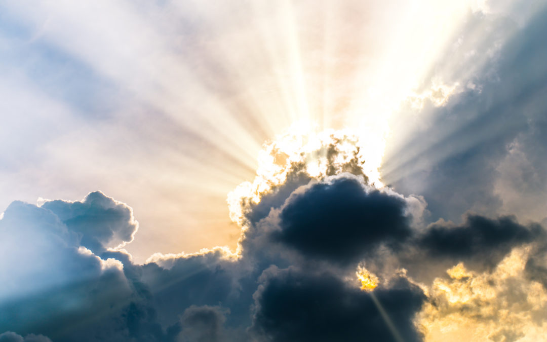 NURTURE…Visio Manifesto Redux