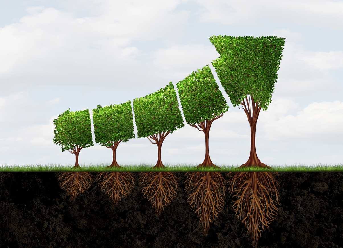 Growing Economic Success