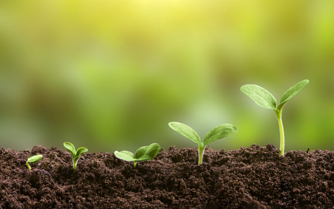 GROW…The Best for Last